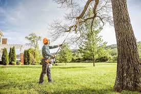 Best Storm Damage Tree Cleanup  in Jonesville, LA